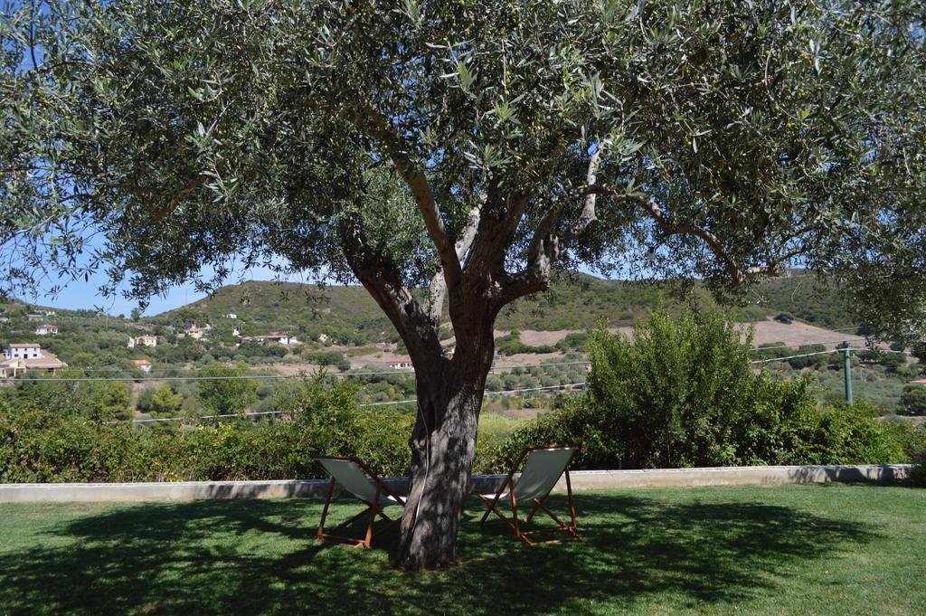 B&B Kapi Country Alghero Bilik gambar